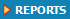 REPORTS